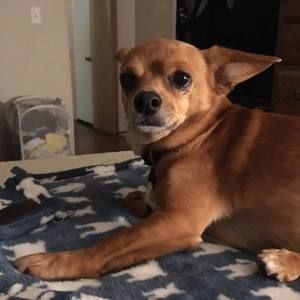 Meet your Posher, Don